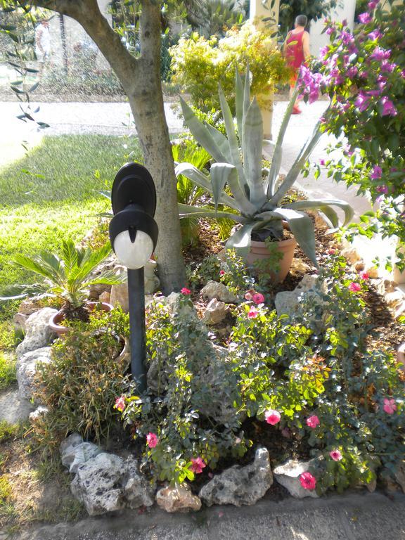 Civico 493 B'N'B Bed and Breakfast Preganziol Εξωτερικό φωτογραφία