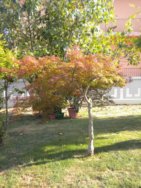 Civico 493 B'N'B Bed and Breakfast Preganziol Εξωτερικό φωτογραφία